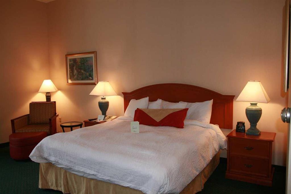 Hilton Garden Inn Minneapolis Saint Paul-Shoreview Room photo